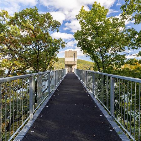 Canandaigua Lake Retreat With View And Private Beach Access, Foliage, Hike, And Ski Hotel Exterior photo